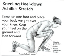 kneeling heel down achilles stretch