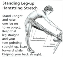 standing leg up hs stretch